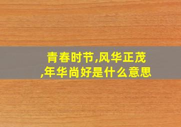 青春时节,风华正茂,年华尚好是什么意思