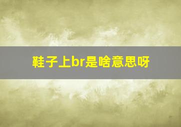 鞋子上br是啥意思呀