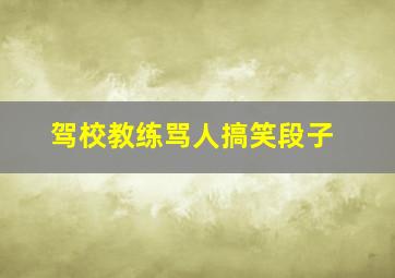 驾校教练骂人搞笑段子