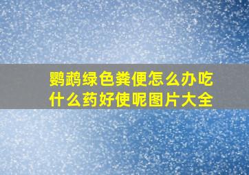 鹦鹉绿色粪便怎么办吃什么药好使呢图片大全